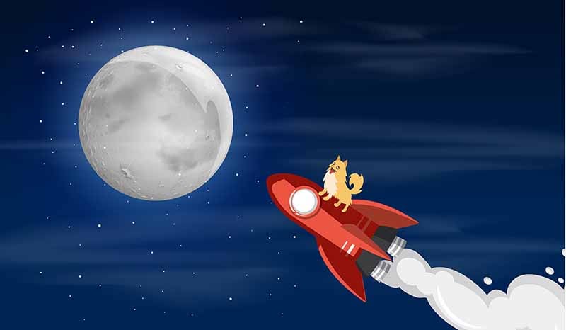 un chien au sommet d'une fusée volant vers la lune
