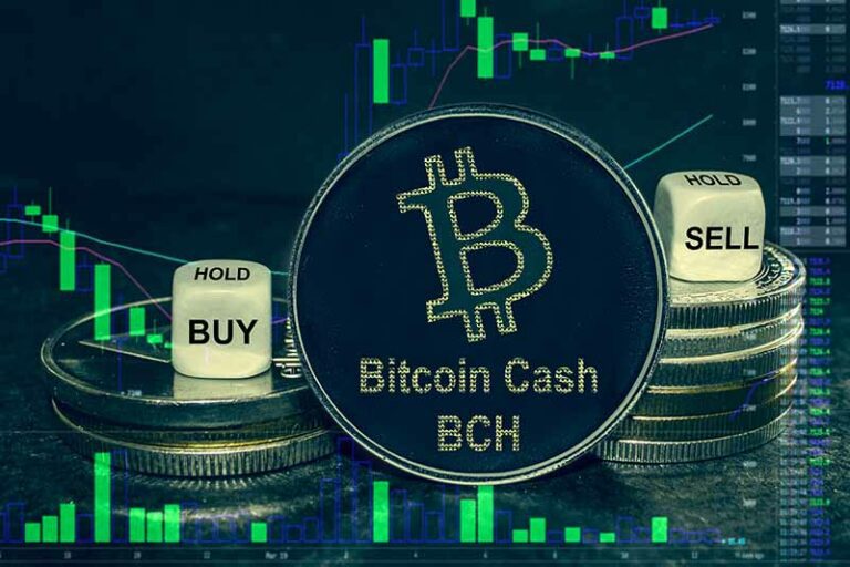 Crypto Bitcoin Cash BCH