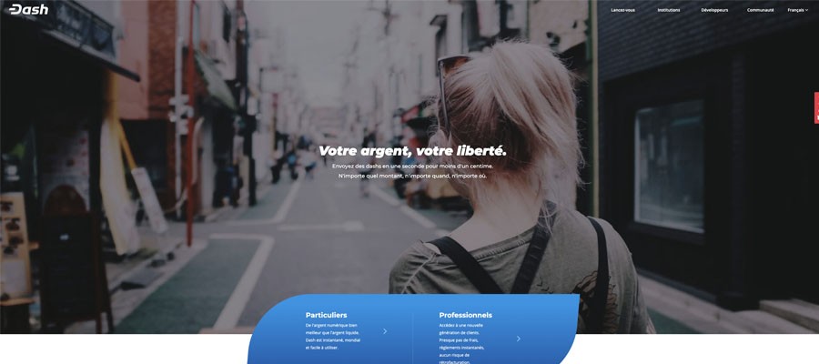 screenshot dash interface