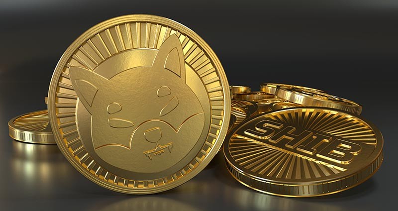 shib crypto ilustration